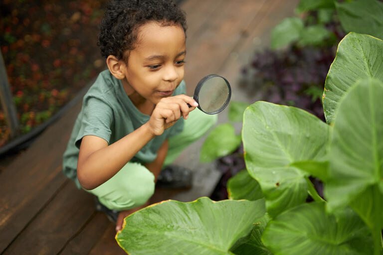 little boy looking at a leaf through a magnifying glass