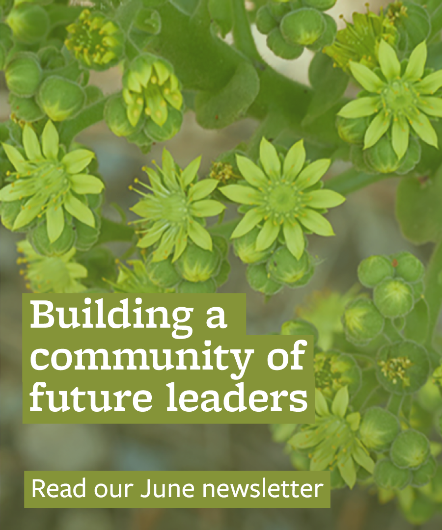 text reads "Building a community of future leaders. read our June newsletter" over photo of aeoniums in bloom