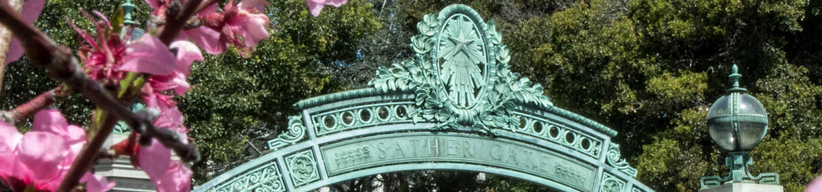 top of sather gate with cherry blossoms on the left side foreground